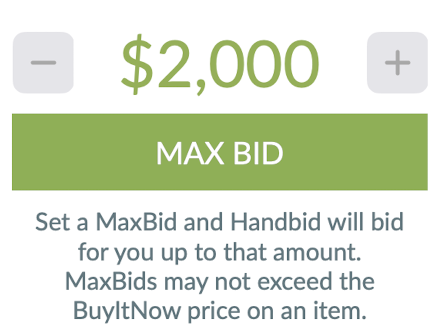 ipad set max bid